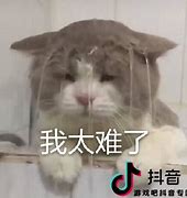 为什么我玩传奇私服是黑屏的
