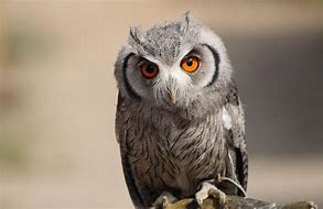 为什么一些热血传奇老玩家说1 76版本之后再无传奇