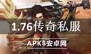 传奇私服有的皇宫进不去