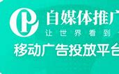 传奇私服紫色暴击石头