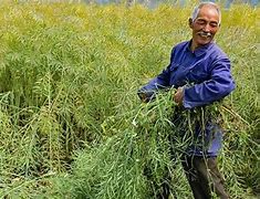 我很菜,但是我开传奇私服一条龙成功了