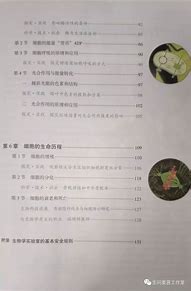 2020最新鬼斧神器传奇 攻略