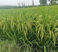 求一个稳定人多的传奇私服最好是1   人气不要太低就行了    爱问知识人