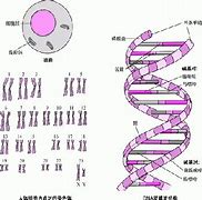 有md检测模块传奇私服能用辅助