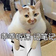 我想用自己家的电脑开个传奇sf doc