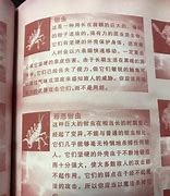 赤月传说矿洞在哪 能挖出什么矿