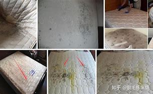 有没有长期的传奇私服最好不要变态的 变态不不要 花钱的不要  爱问知识人