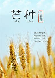 2020正版授权传奇游戏sf服下载