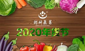 945传奇私服传奇私服单职业版本免费下载单职业