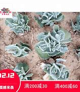 麻烦问下我玩传奇私服突然出现了无法访问指定 路径和文件