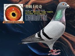 《传奇3》关于祈祷套装bug的修改公告