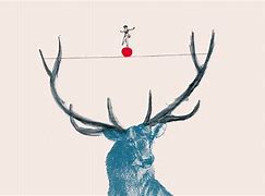 有哪些官方授权的大的传奇私服