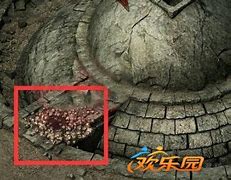 小志传奇幻境4下5怎么走 入口位置在哪