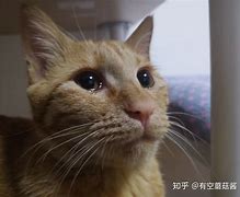 为什么我一进传奇私服就死机 一进私服就死机 【传奇吧】