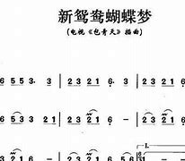 新鸳鸯蝴蝶传奇服务端下载