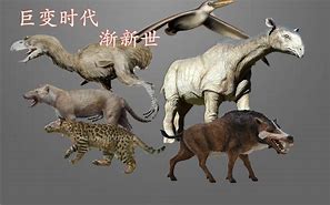 传奇中  豆瓣