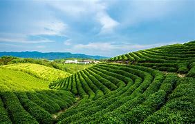 绿色、复古、长久、耐玩的正版传奇盛大授权得终于被我找到了