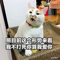 开了几年的传奇私服