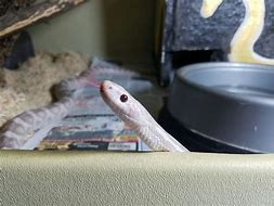 有适合长时间玩的传奇私服吗