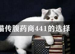 目前最好的传奇合击辅助介绍及推荐