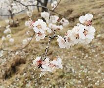 37荣耀传奇37传奇私服游戏游戏下载 暂未上线 37传奇荣耀下载