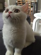 这种不要玩 全部传奇私服来路统计都是坑