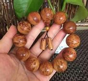 至尊传世陈小春代言下载