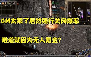 找个传奇私服道士比较厉害的