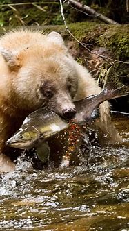 现在传奇世界现在还有传奇世界私服有私服了 传世群英版为何能脱颖而出