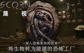 游戏中的装备到底存不存在隐藏属性 老玩家表示不知 竟是版本问题