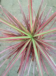 传奇私服怎么下 初心不改 经典回归