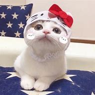 2018的合计传奇私服