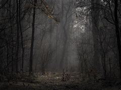 传奇私想玩传奇私服用哪个客服端服用什么客户端