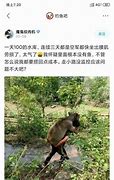 我每次打开的传奇私服发布网都是一样的怎么  爱问知识人