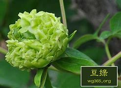 现在的传奇3私服怎么升级武器 成功方法