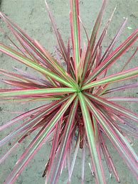 传奇私服怎么安装我家刚装的系统 下载及安装