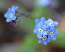 盘点：1.76传奇私传奇私服1.76哪升级快服的打金方法，快速变身土豪