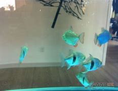 最新找私服传奇榜单下载