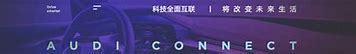 私服登陆器下载