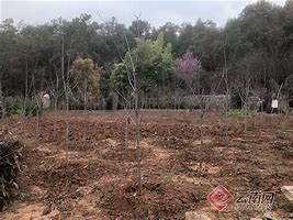 85后团伙办《传奇》私服 一年赚7000万被抓