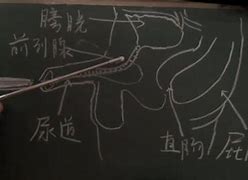 网络为什么我的电脑一玩传奇就会出现网络连接 一玩网络游戏就自动与网络断开