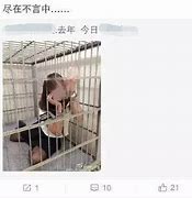玩了那么多年 自己的感悟【军团战争吧】