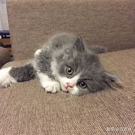 现在还有什么免费外挂能挂传奇3私服 爱问知识人