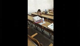 不灭经典达叔八合一传奇（暂未上线）