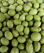 1.85绿色传奇私服