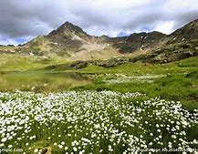 刚登陆传奇登录器的时候花传奇私服登录器出现花屏屏是怎么回事？