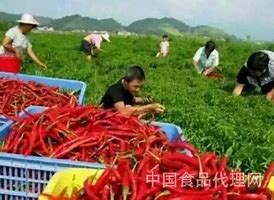 怎样架势传奇私服