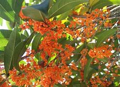 有哪个知道上线就送彻地钉的传奇私服啊要新开 – 手机爱问