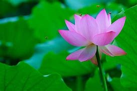 2018年开传奇私服赚钱吗