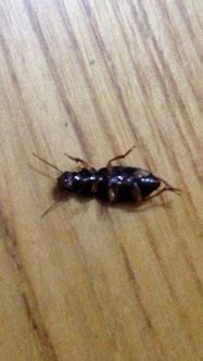 请问有人知道哪里有比较好玩的传奇世界私服吗 谢谢推荐一下